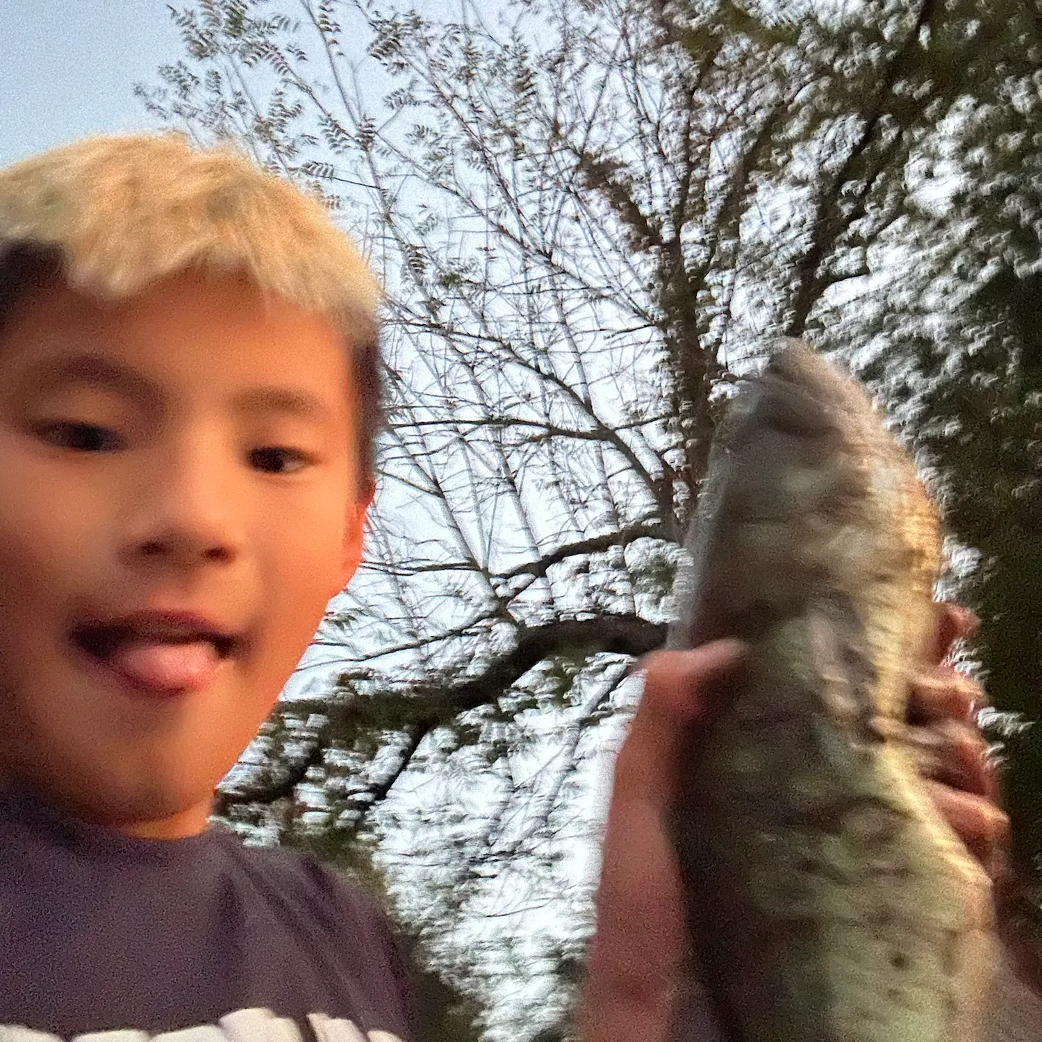 Fish caught on Fishbrain