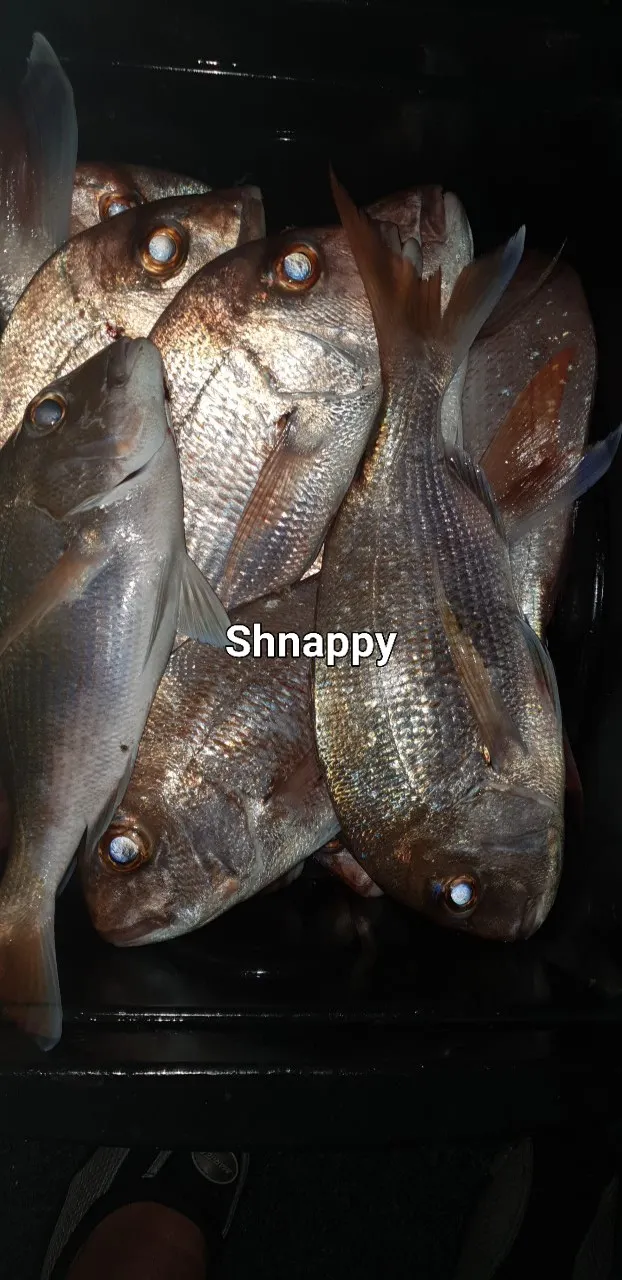 Post image from aydacoe