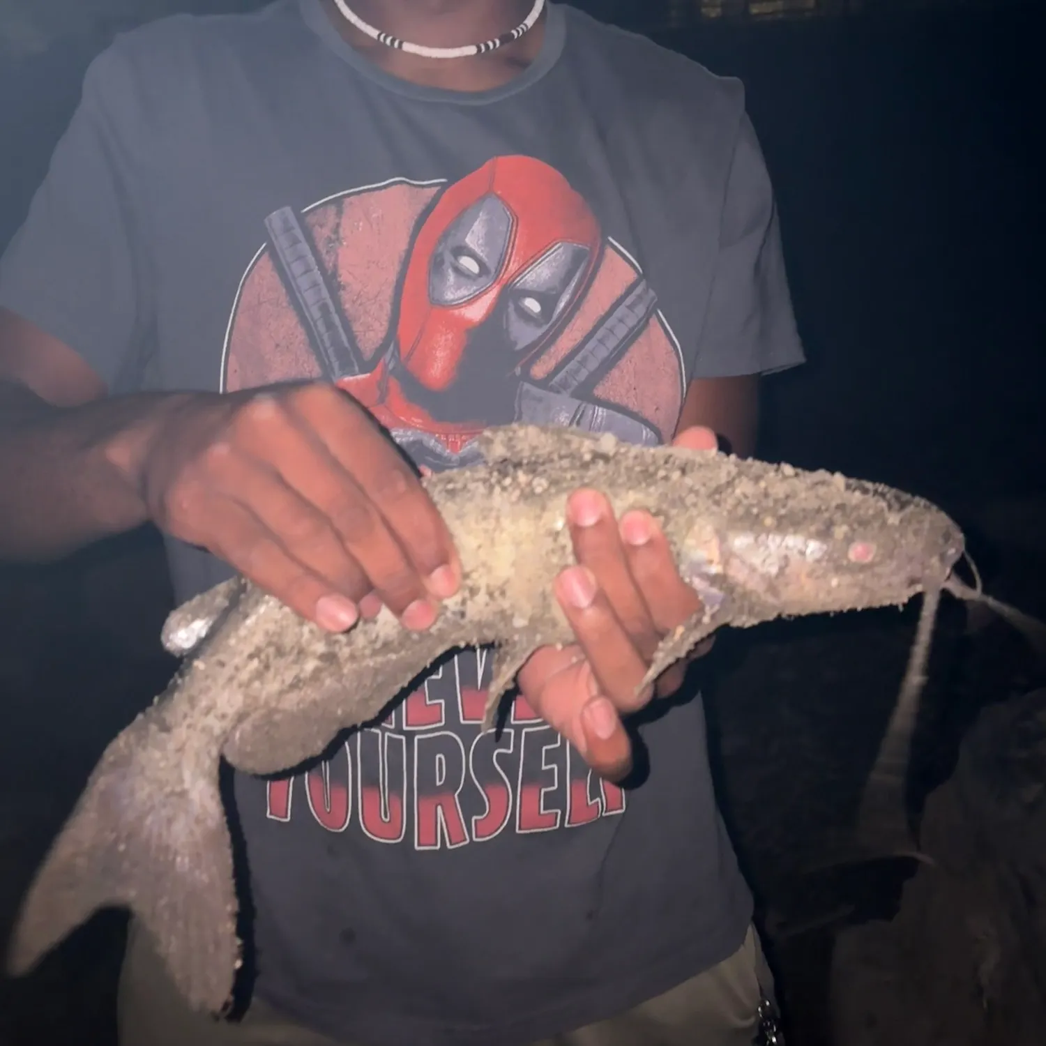Channel catfish caught on Fishbrain