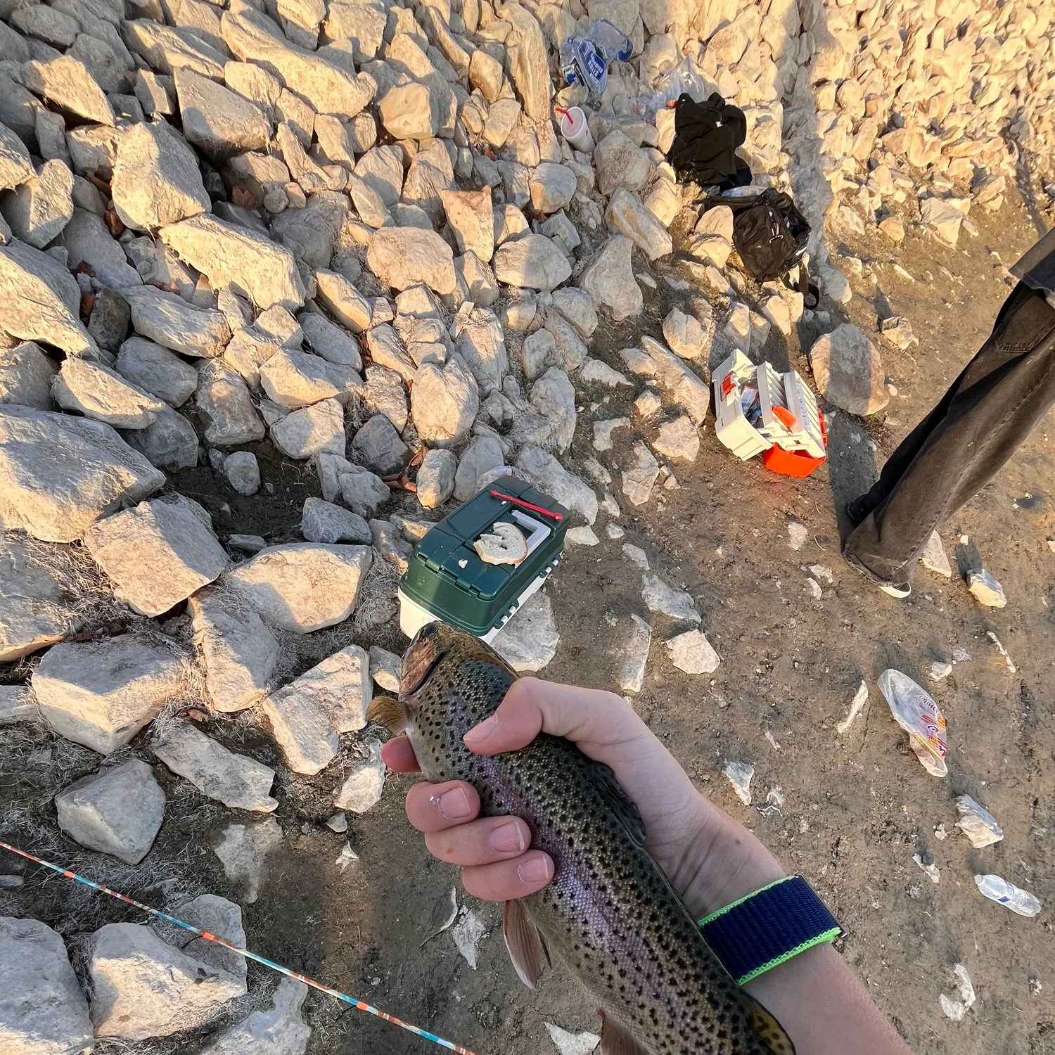 The most recent Rainbow trout catches on Fishbrain