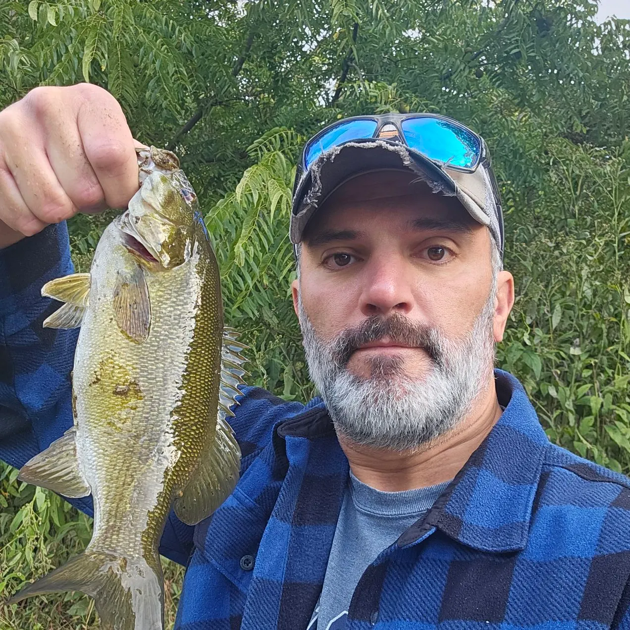 Smallmouth bass caught on Fishbrain