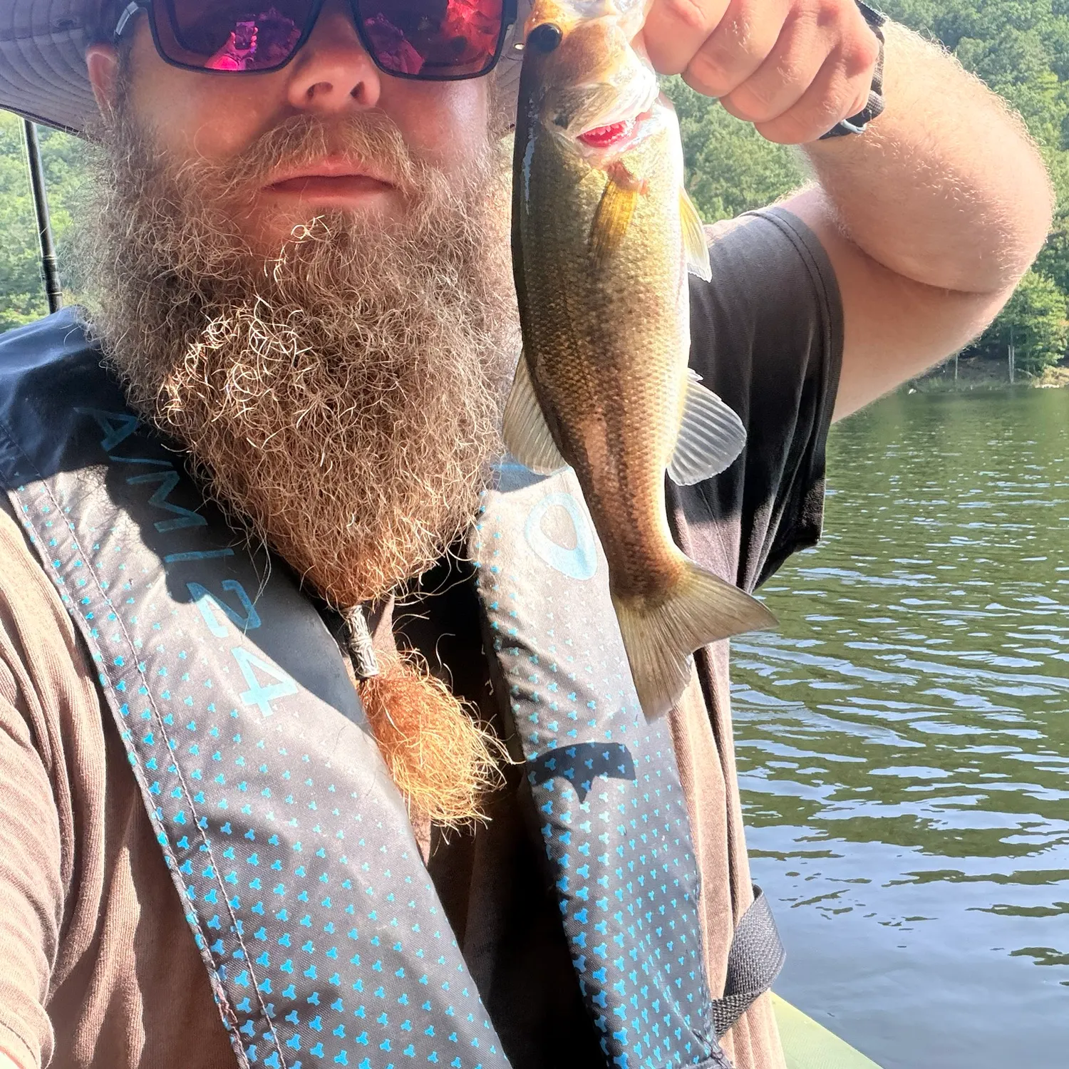 Largemouth bass caught on Fishbrain