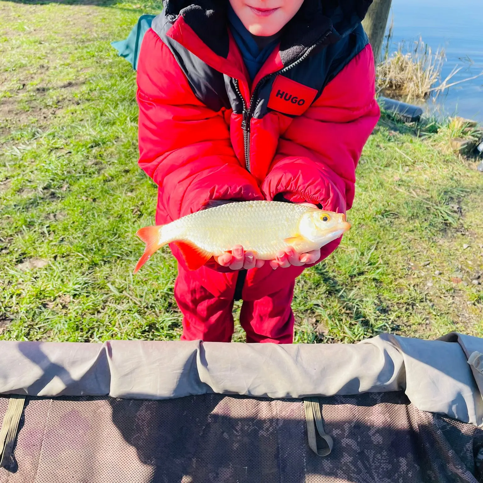 The most recent Common roach catches on Fishbrain