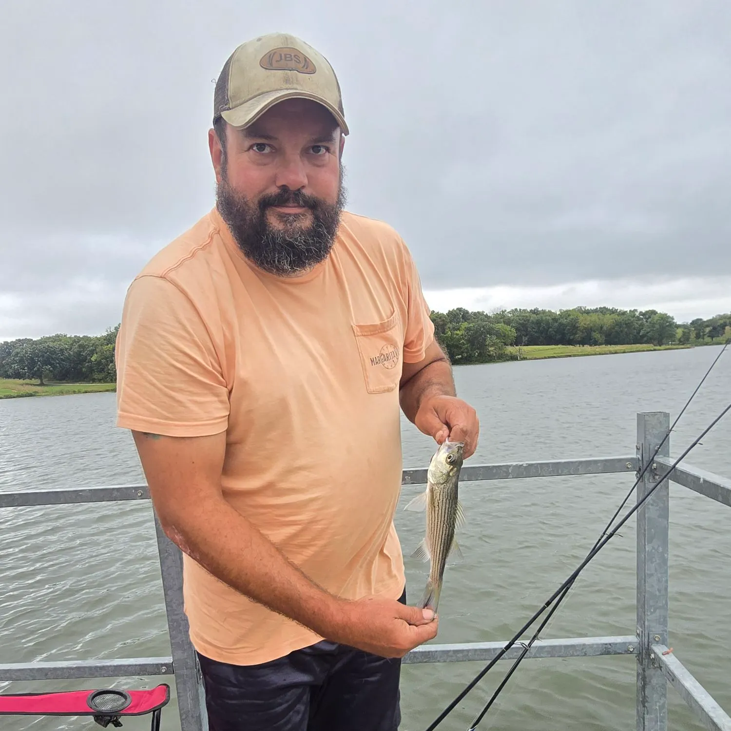 Striped bass caught on Fishbrain