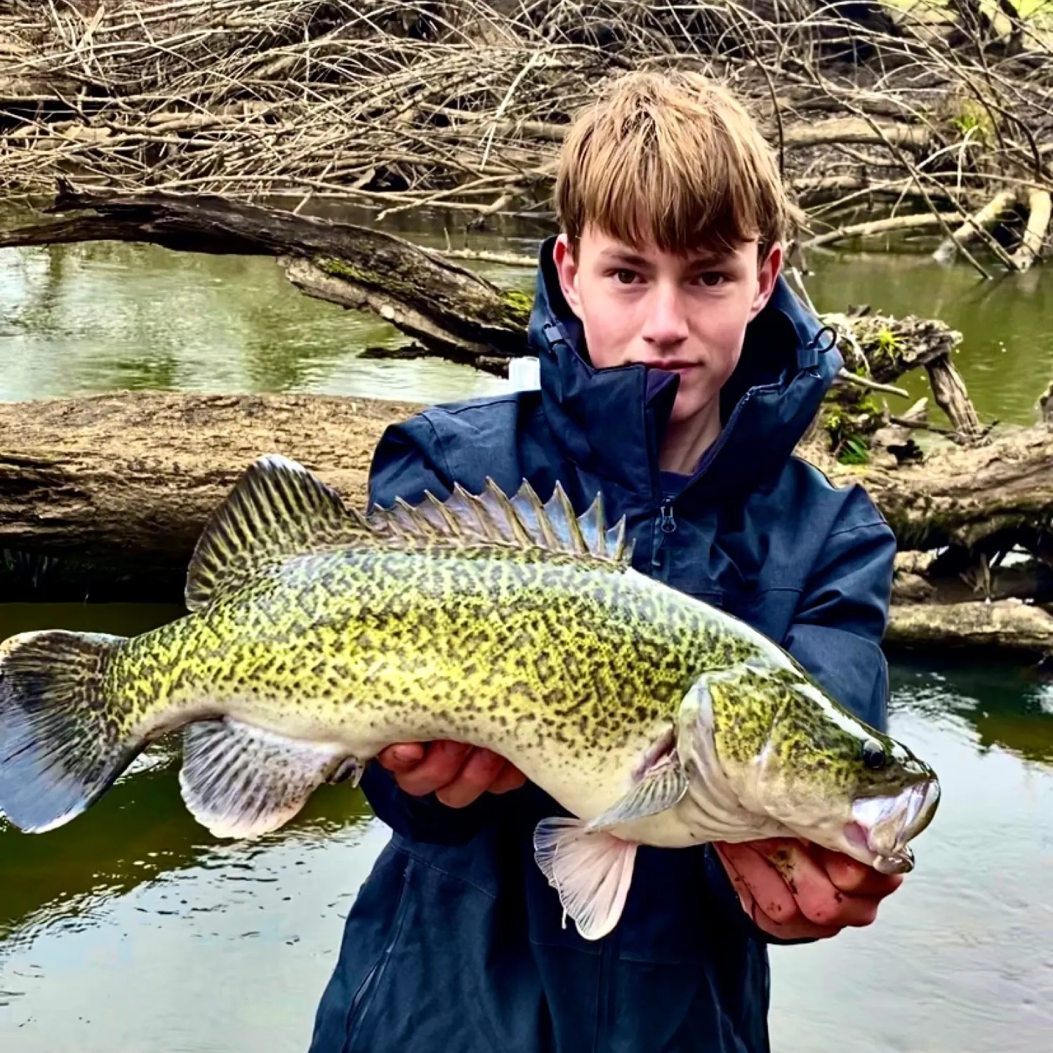The most recent Murray cod catches on Fishbrain