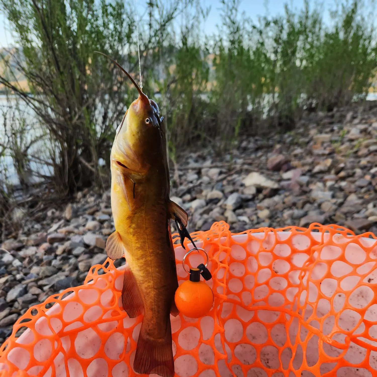 catch