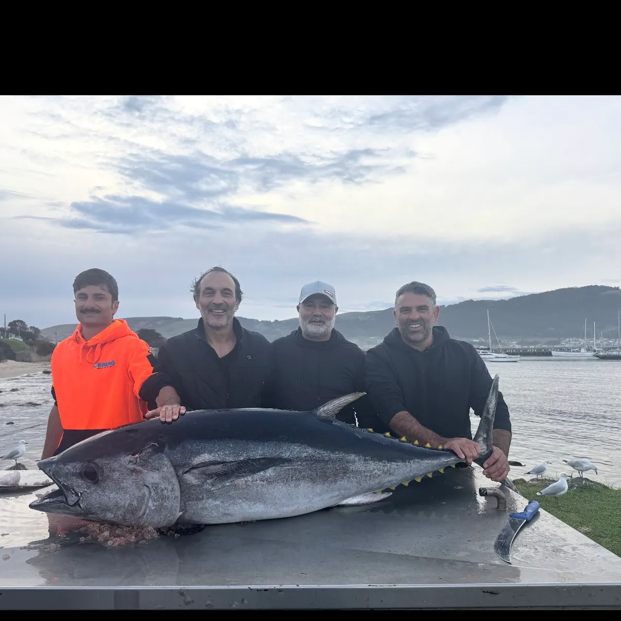 The most recent Southern bluefin tuna catches on Fishbrain