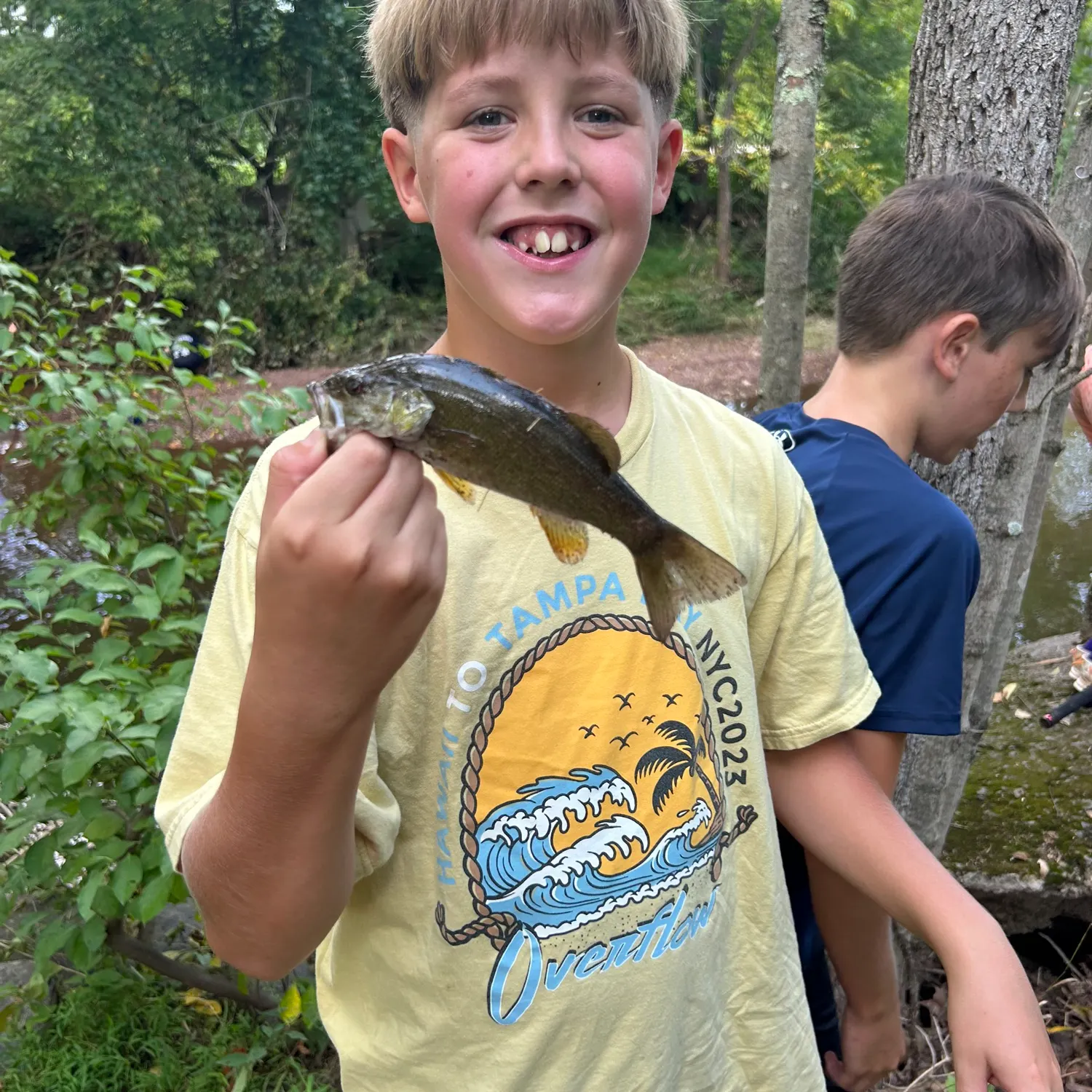Smallmouth bass caught on Fishbrain