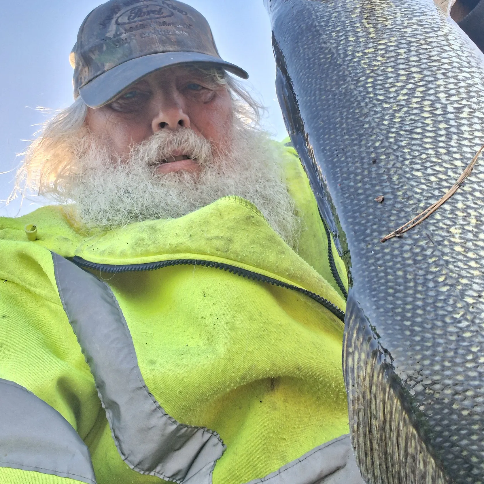 Walleye caught on Fishbrain