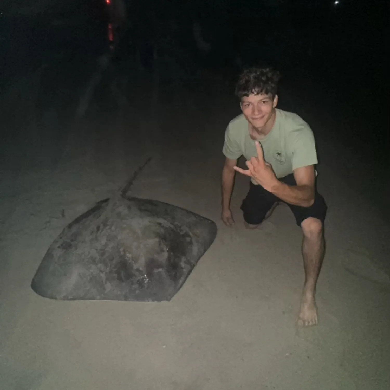 The most recent Southern stingray catches on Fishbrain