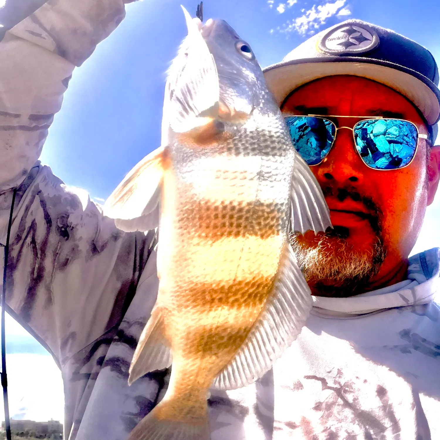 The most recent Black drum catches on Fishbrain