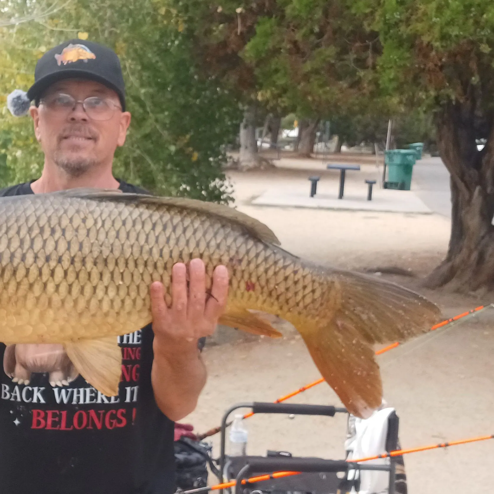 Common carp caught on Fishbrain