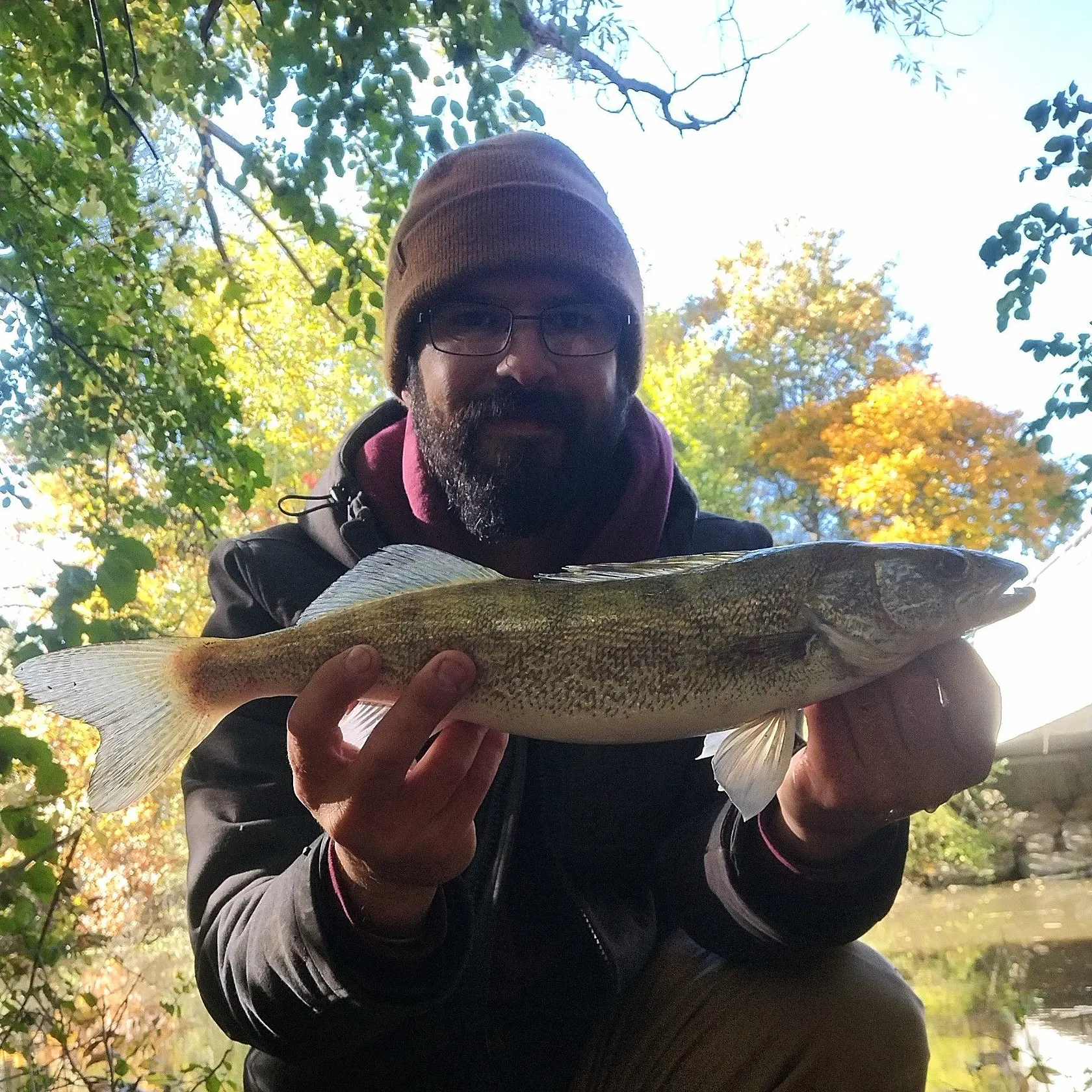 Walleye caught on Fishbrain