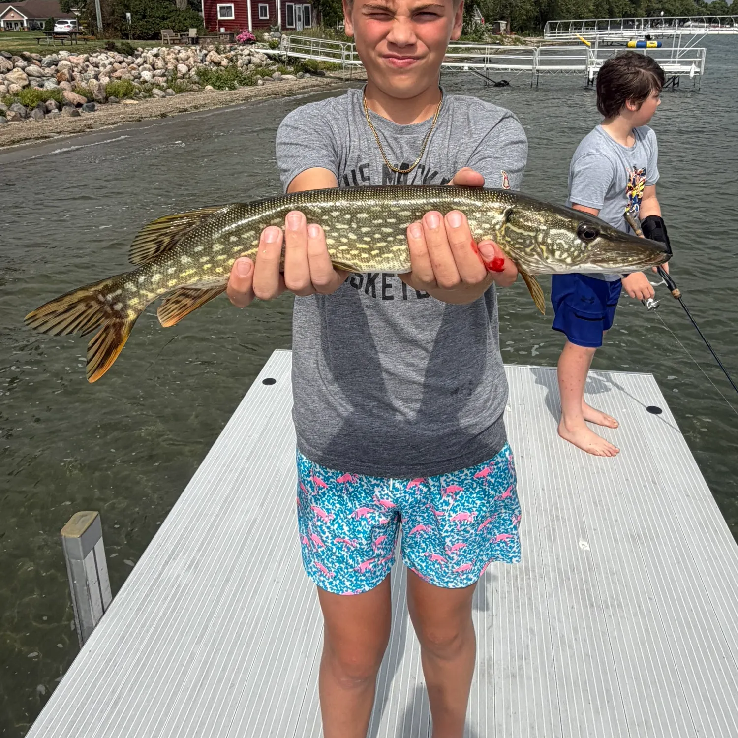 Northern pike caught on Fishbrain
