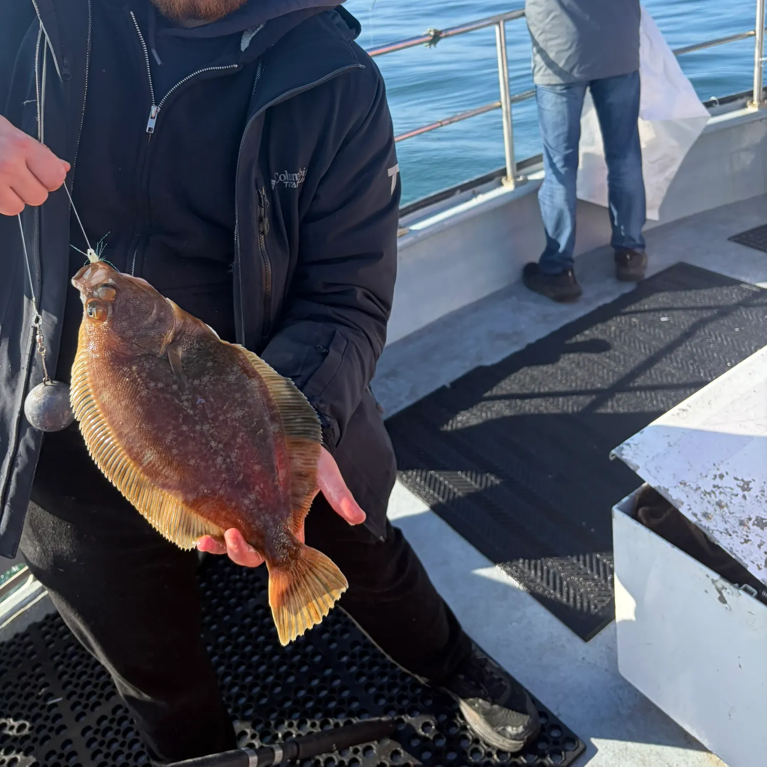 The most recent Southern rock sole catches on Fishbrain