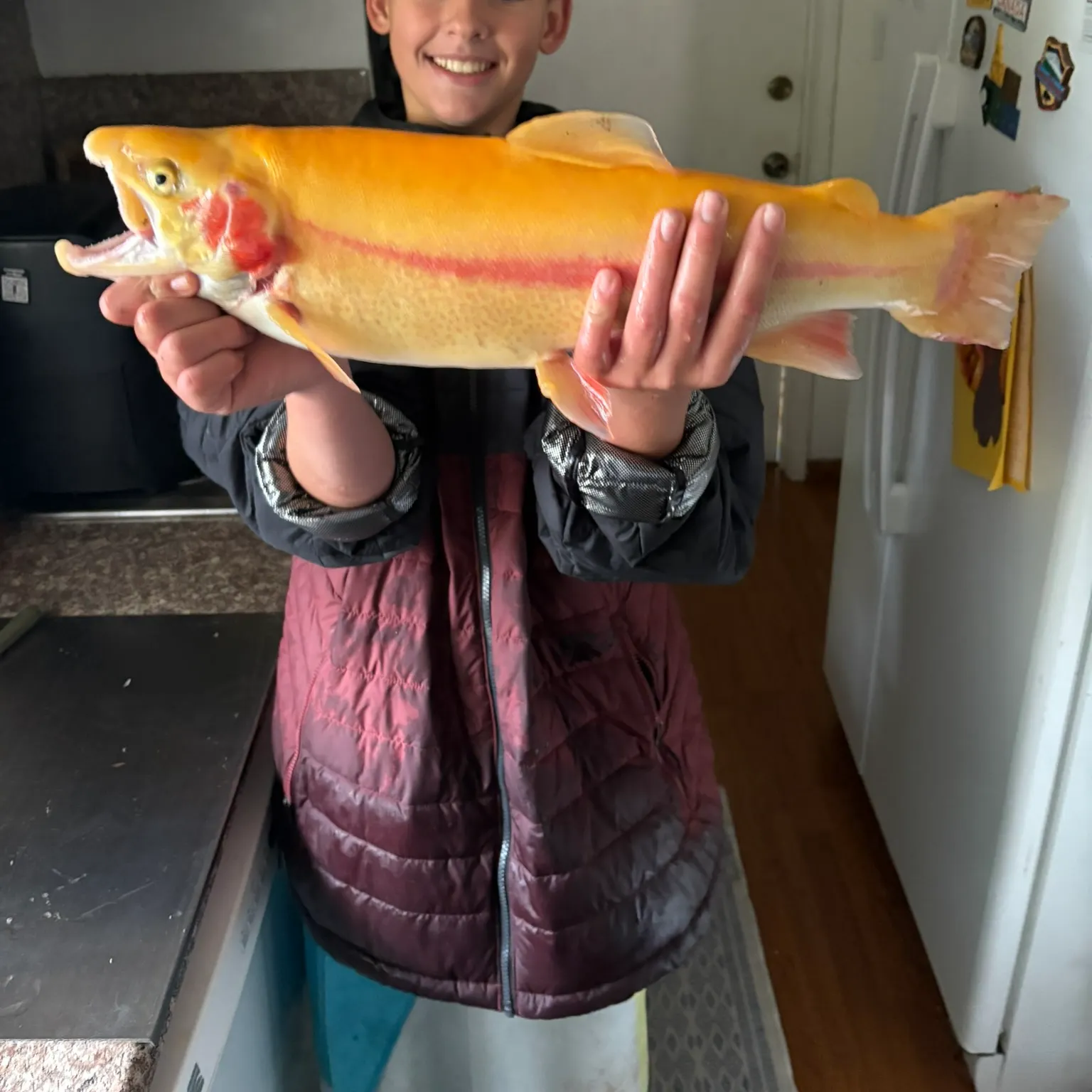 The most recent Great white shark catches on Fishbrain