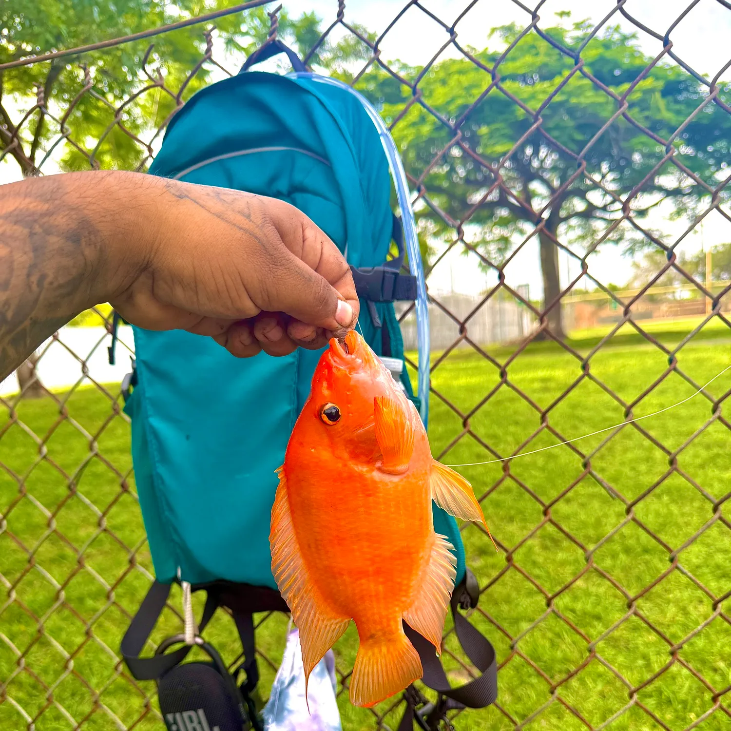 catch
