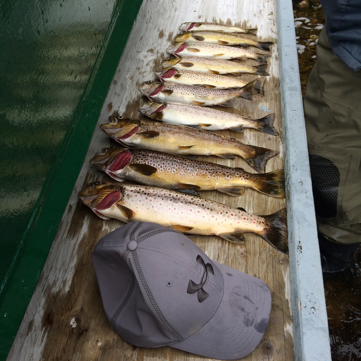 recently logged catches