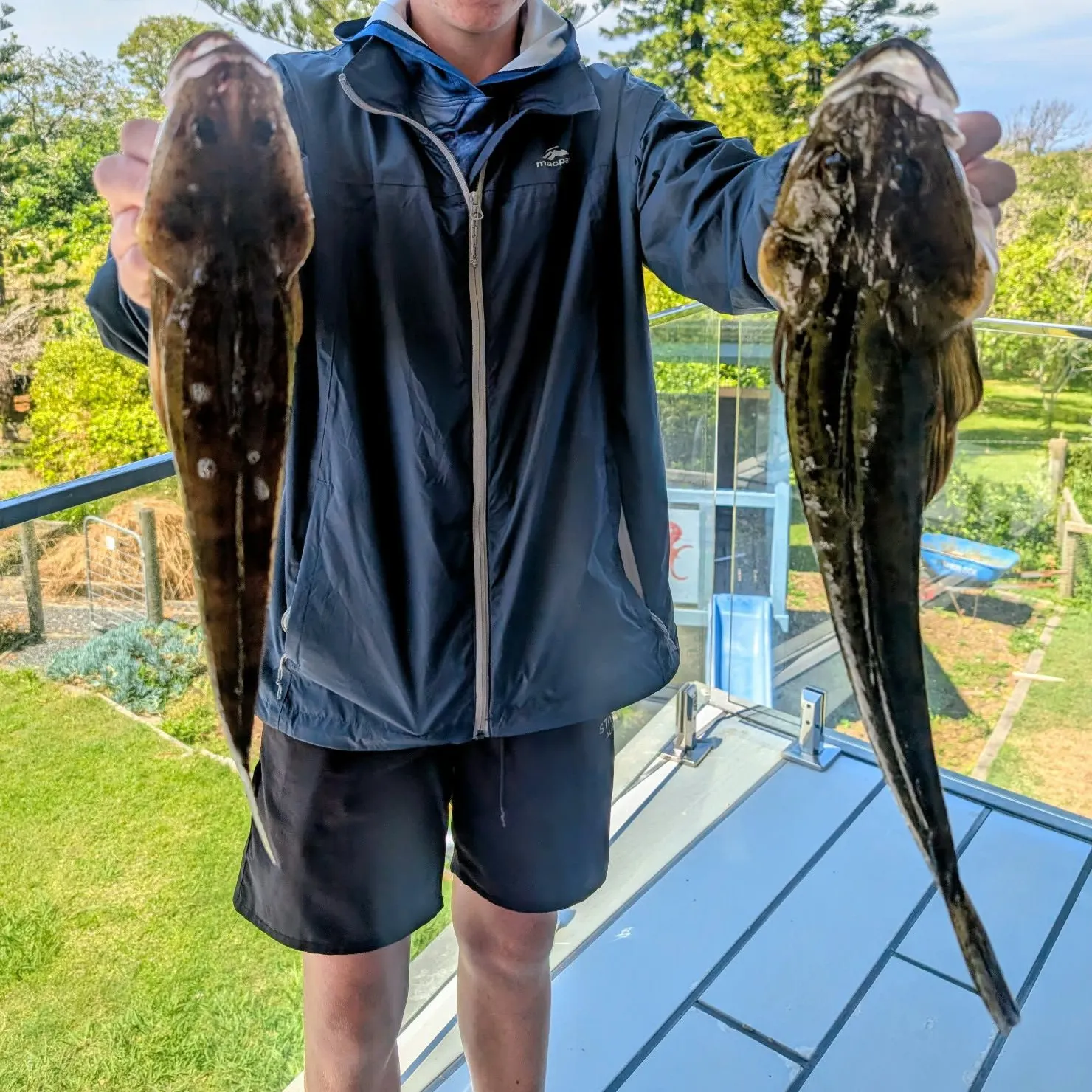Dusky flathead caught on Fishbrain