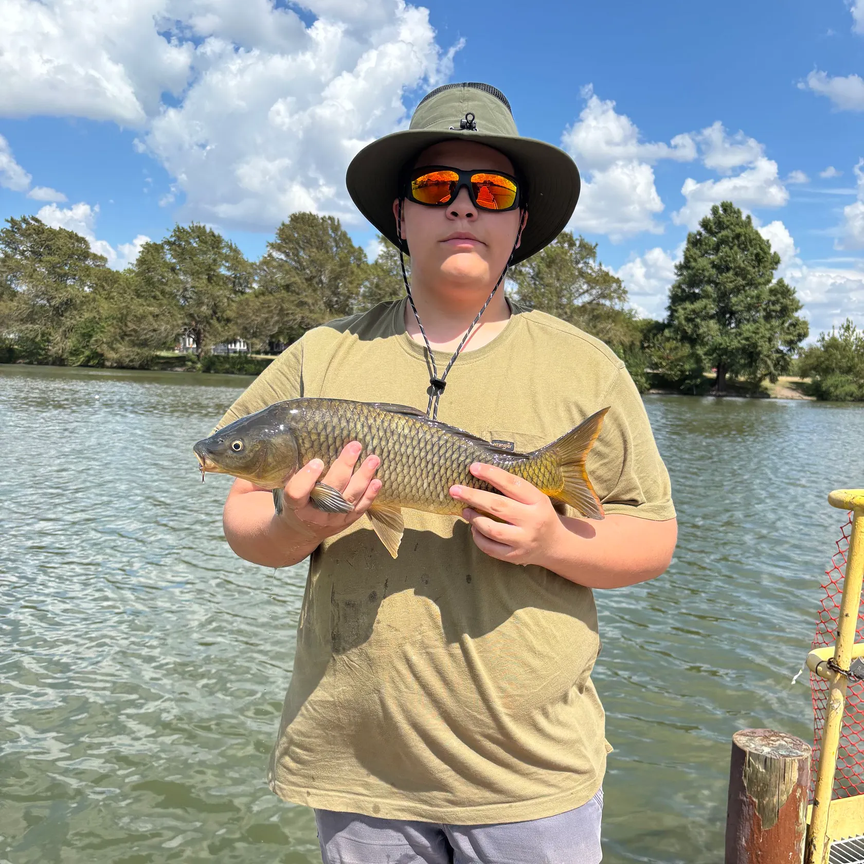 Common carp caught on Fishbrain
