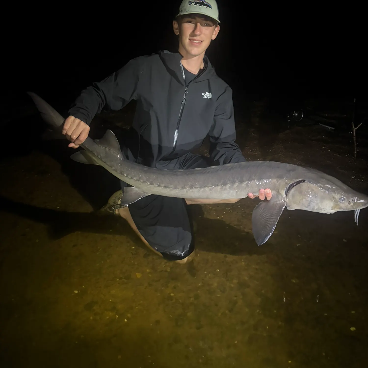 The most recent Lake sturgeon catches on Fishbrain
