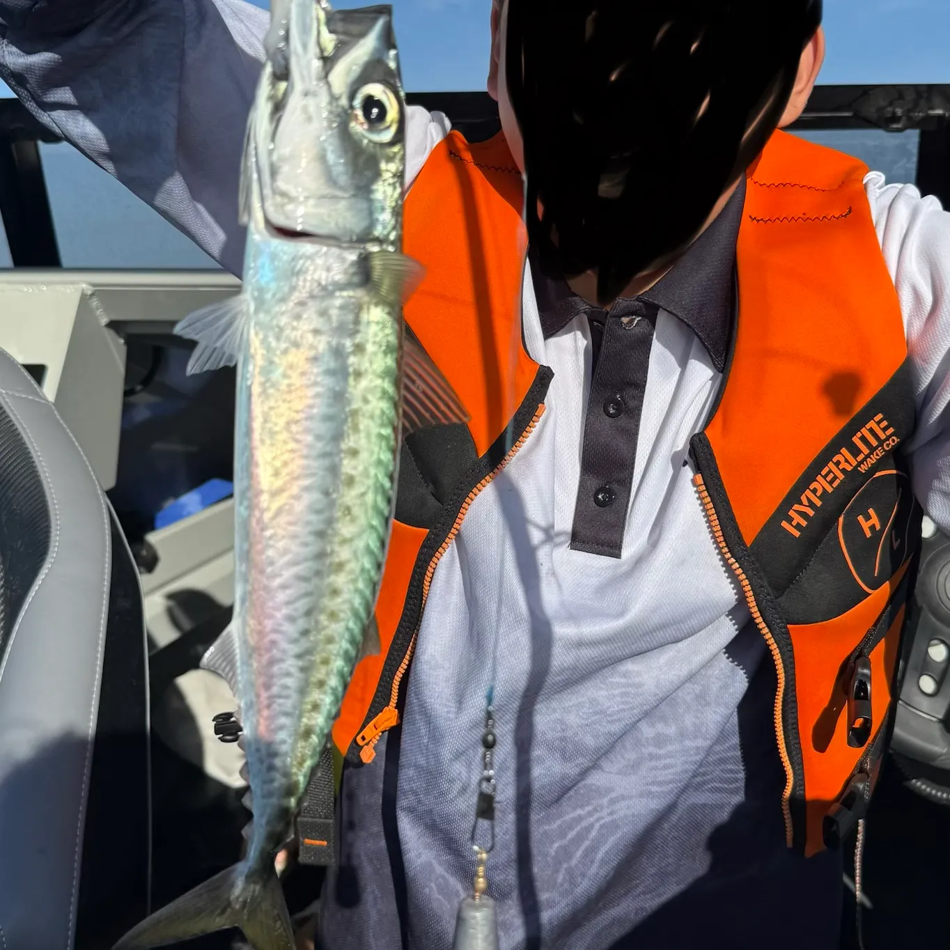 The most recent Narrow-barred Spanish mackerel catches on Fishbrain