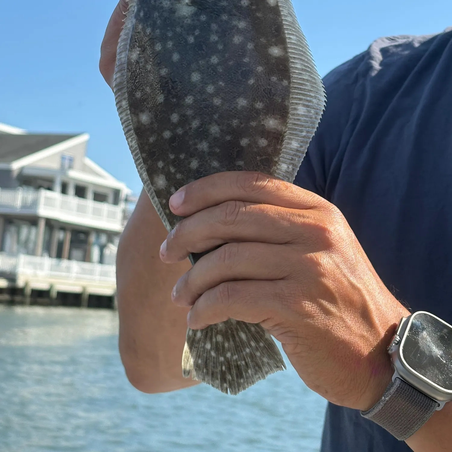 Summer flounder caught on Fishbrain