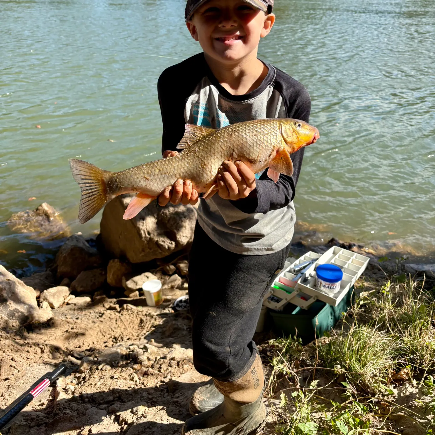 River carpsucker caught on Fishbrain
