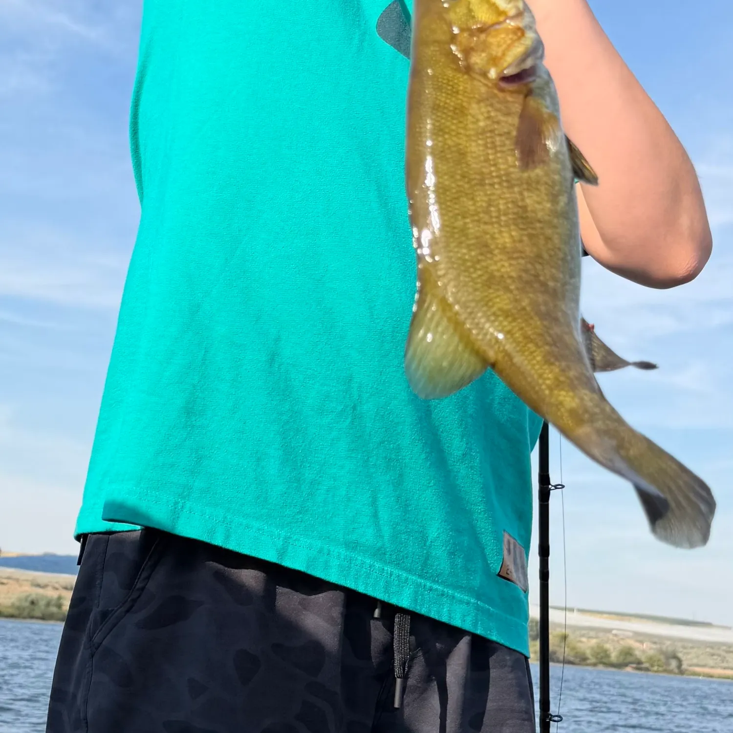 Smallmouth bass caught on Fishbrain