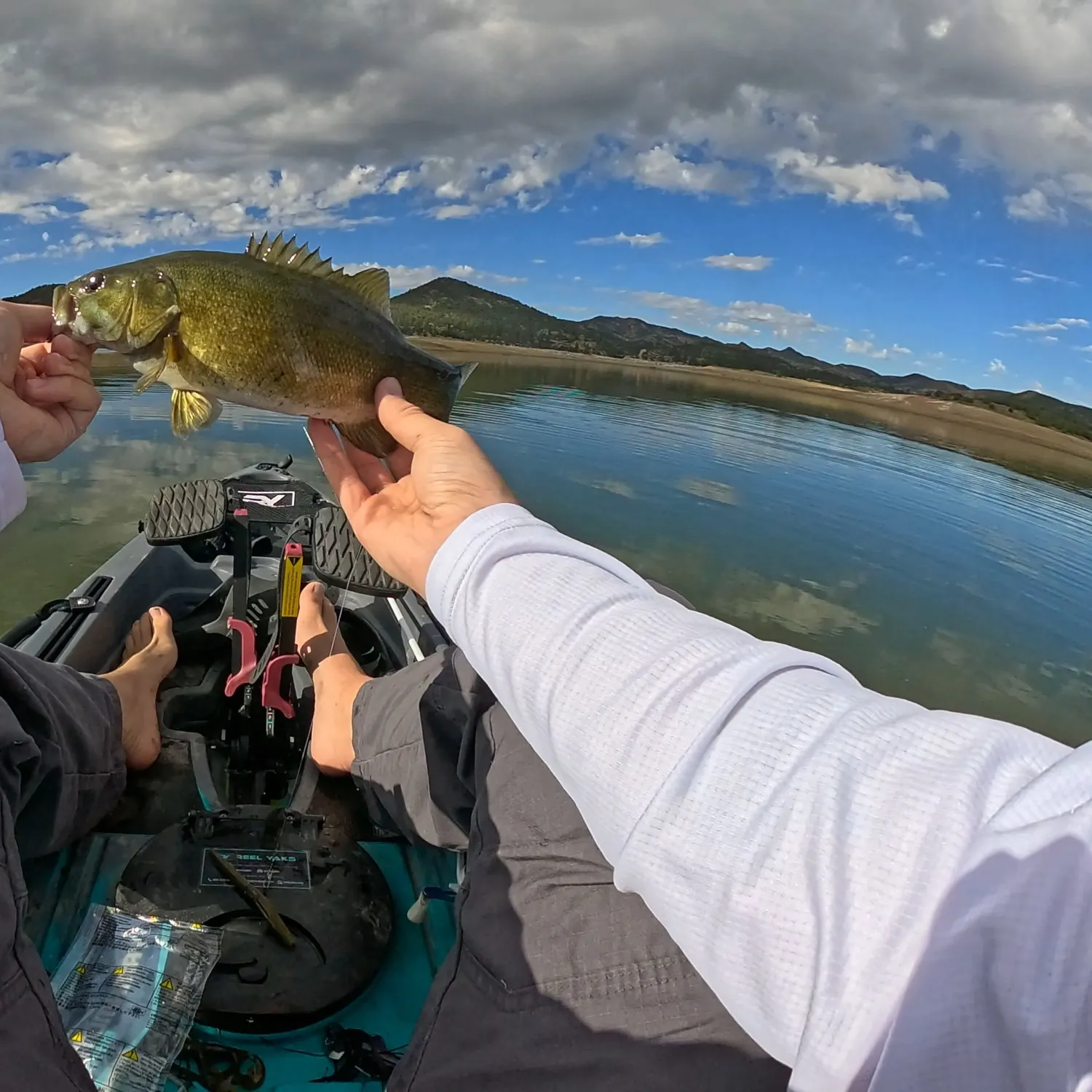 Smallmouth bass caught on Fishbrain