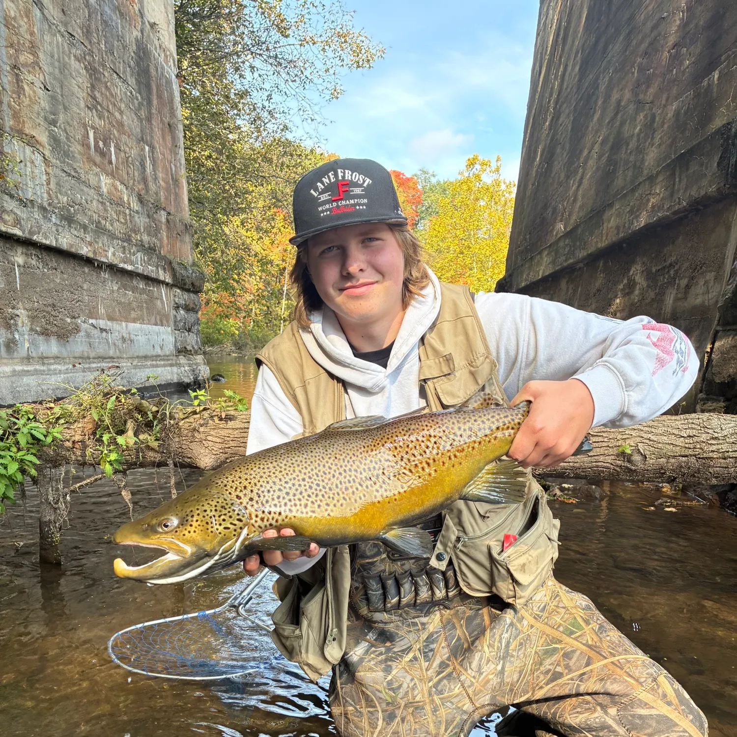 Brown trout caught on Fishbrain