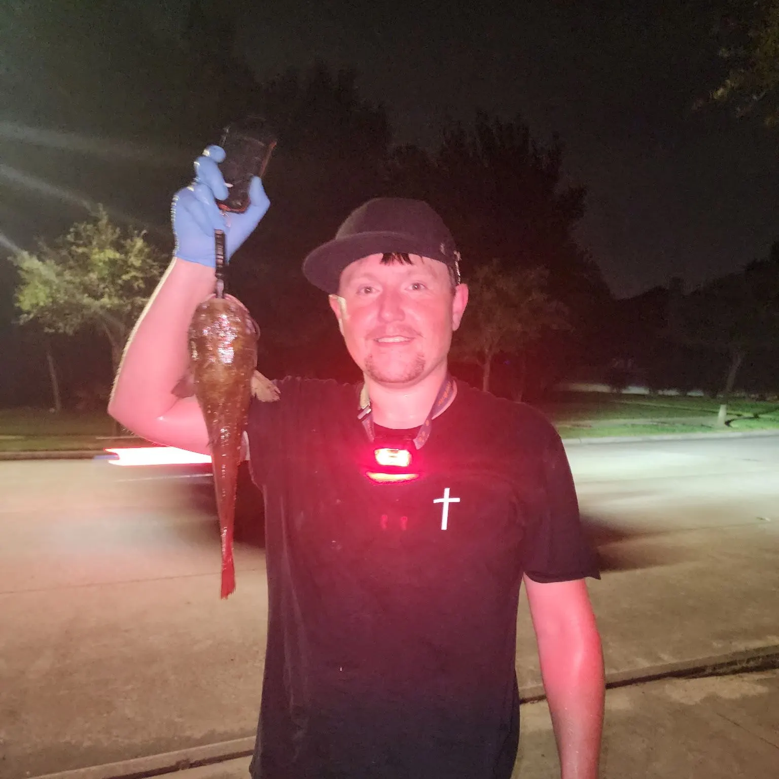 Black bullhead caught on Fishbrain
