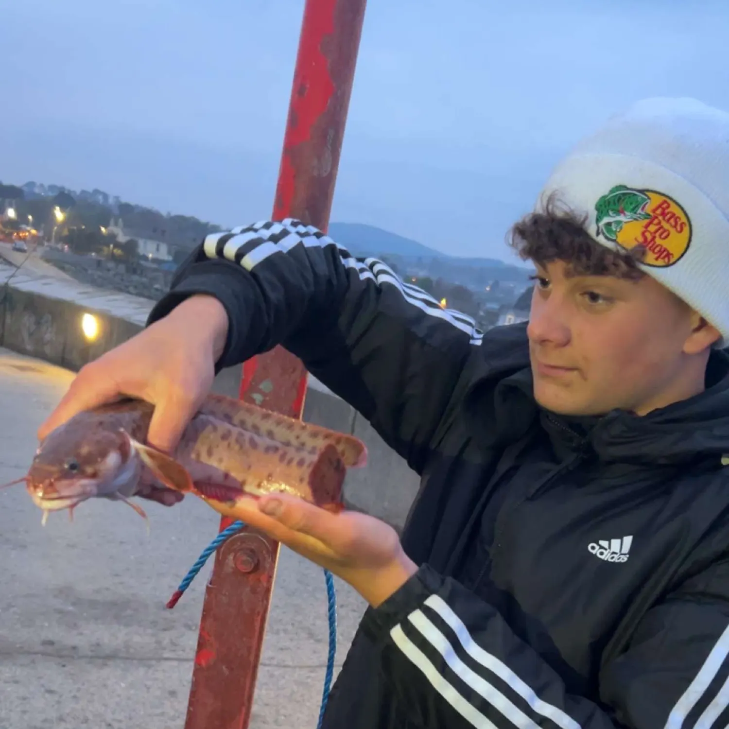 most liked catch image