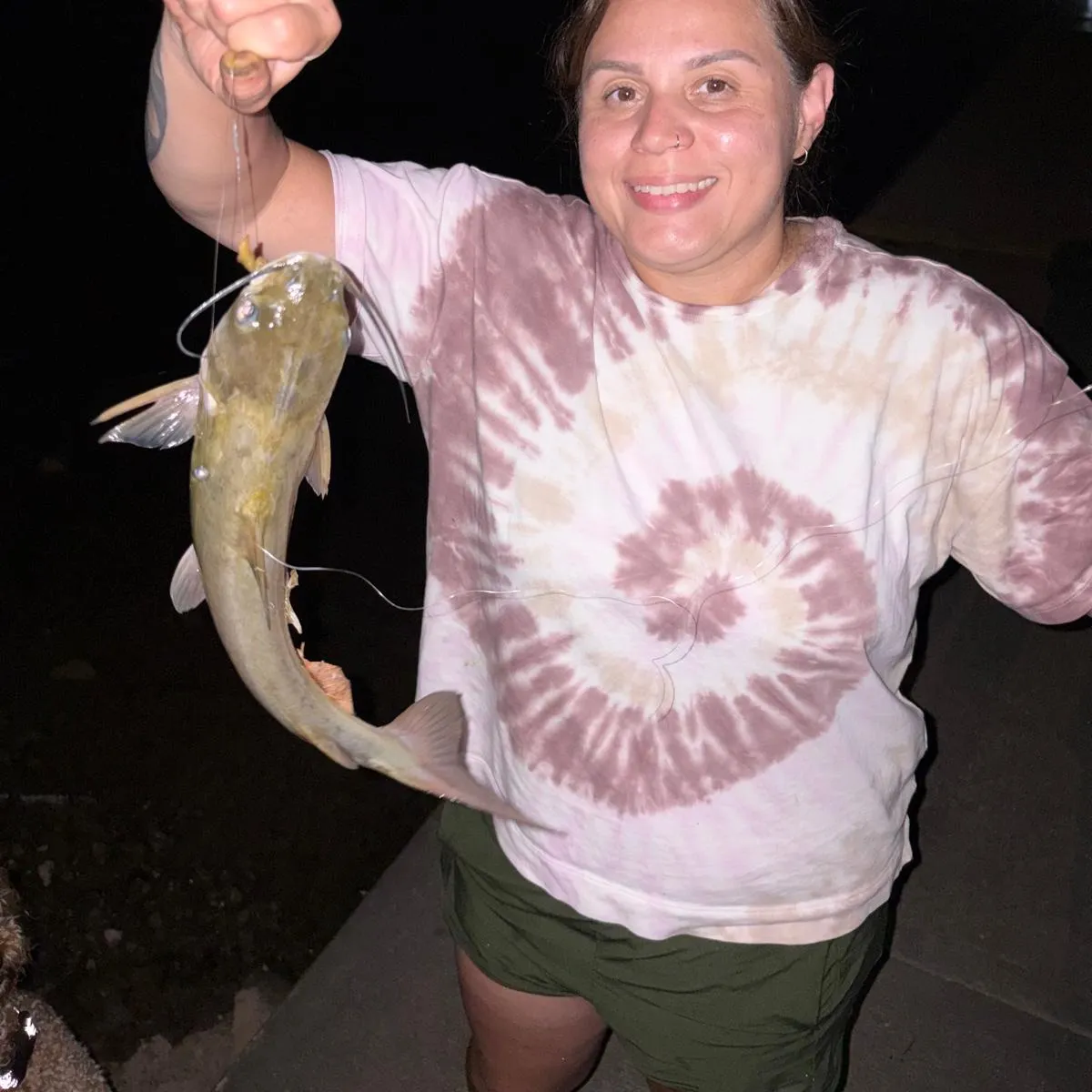 Channel catfish caught on Fishbrain