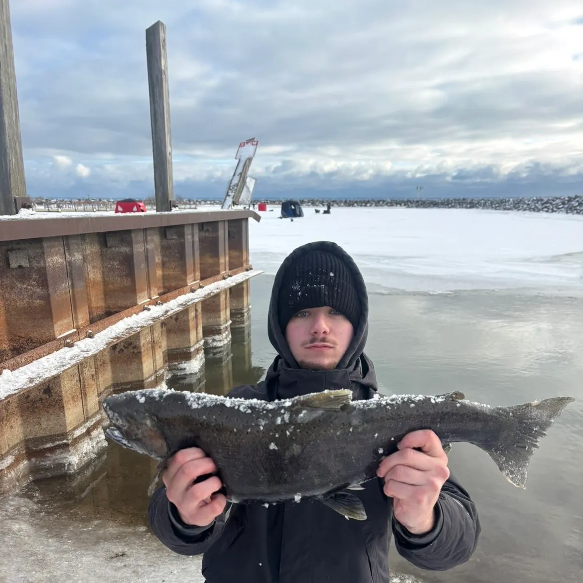 The most recent Coho salmon catches on Fishbrain