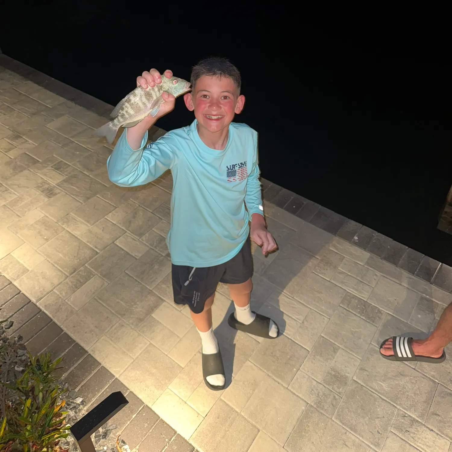 The most recent Sheepshead catches on Fishbrain