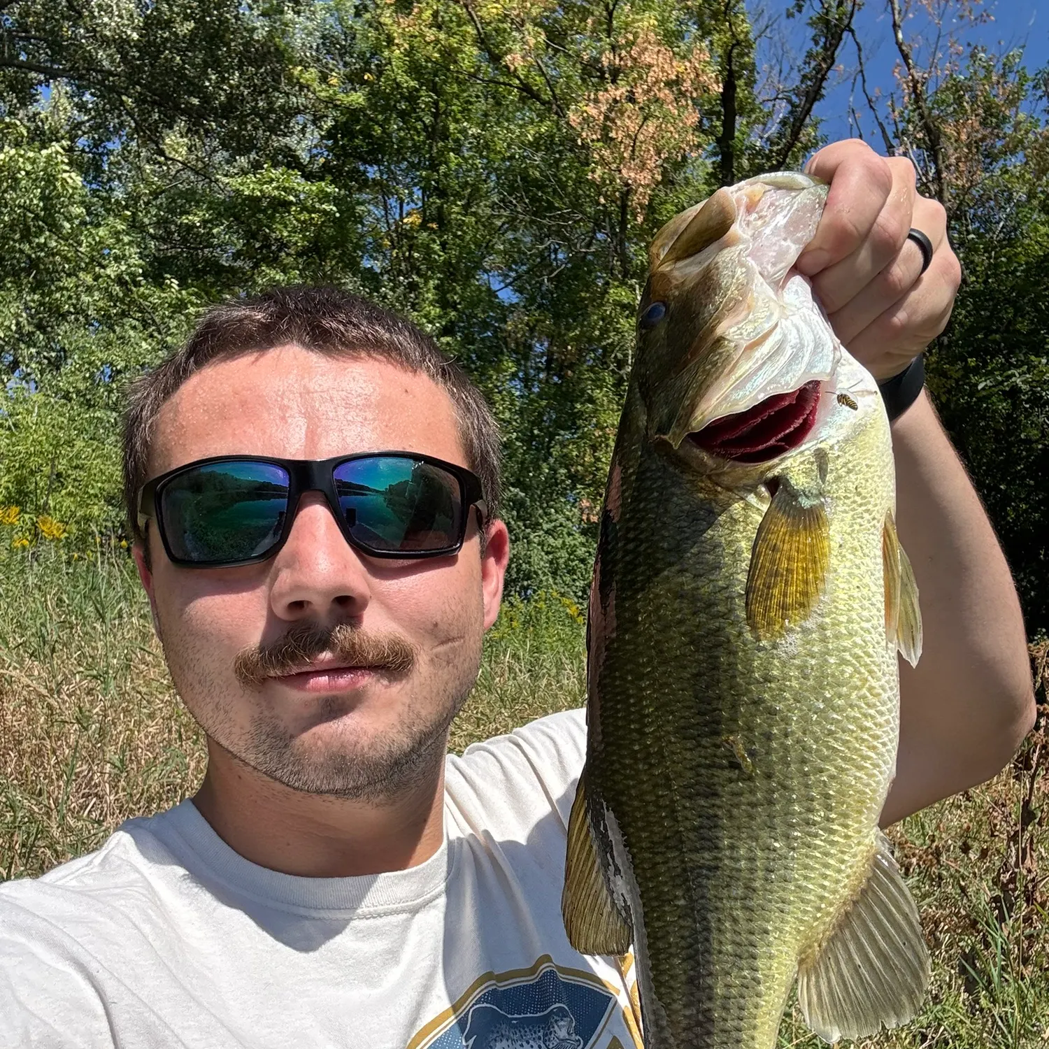 Largemouth bass caught on Fishbrain