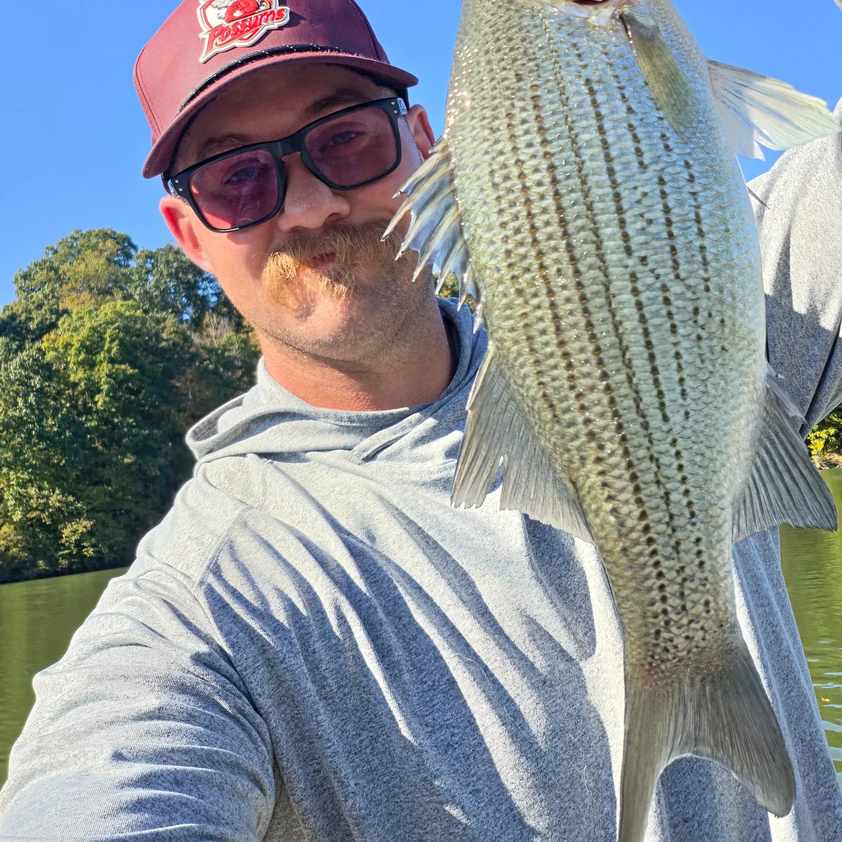 Wiper caught on Fishbrain