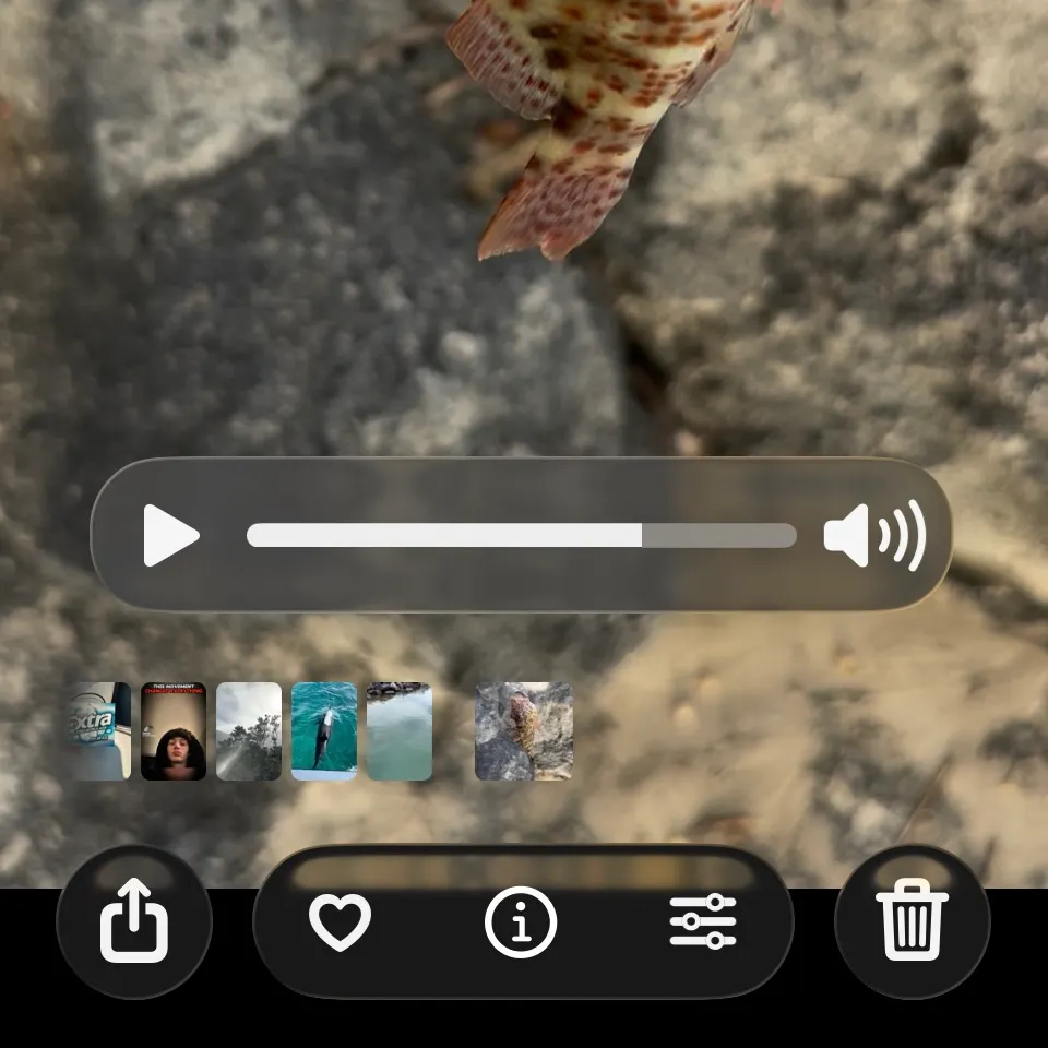 The most recent Stocky hawkfish catches on Fishbrain