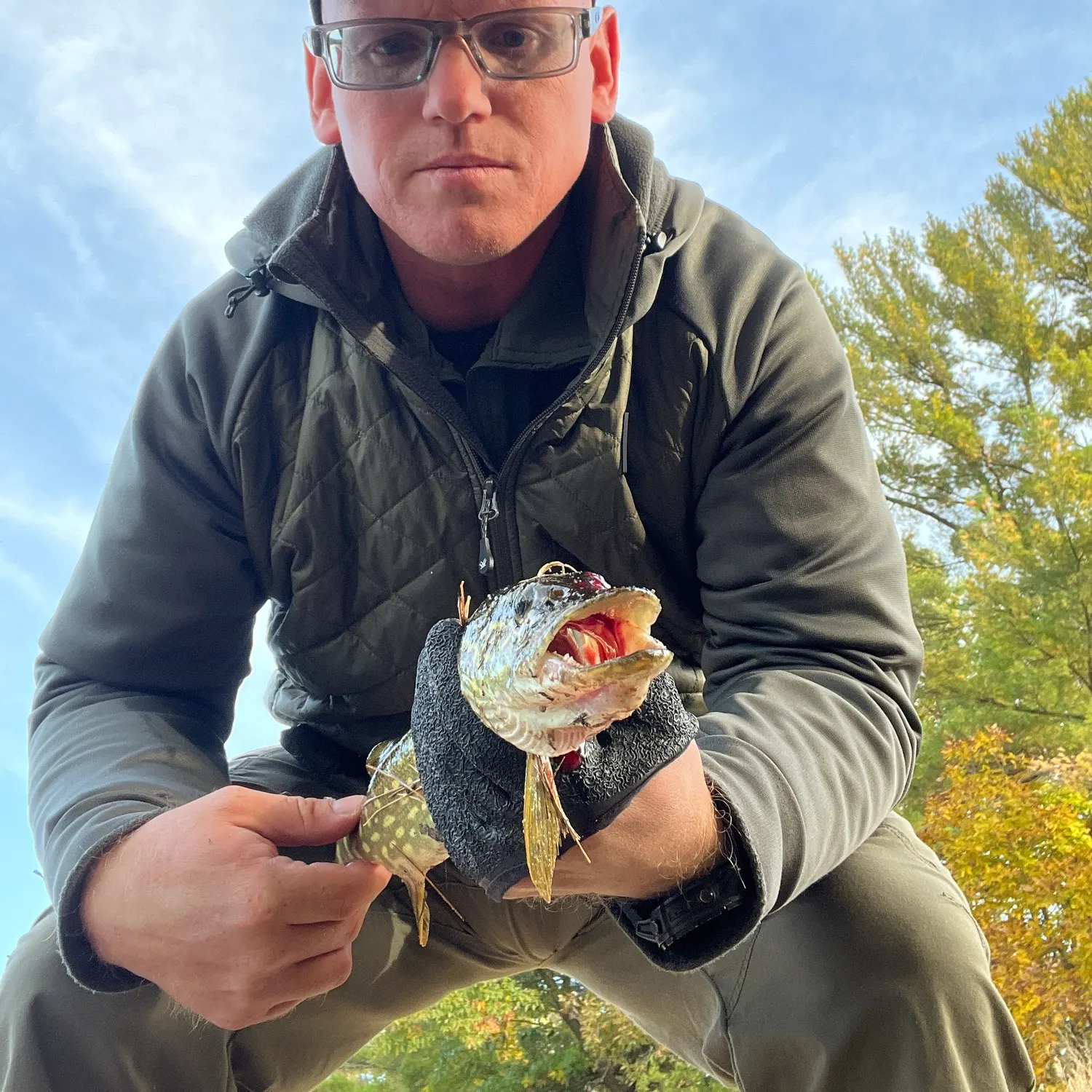 Northern pike caught on Fishbrain