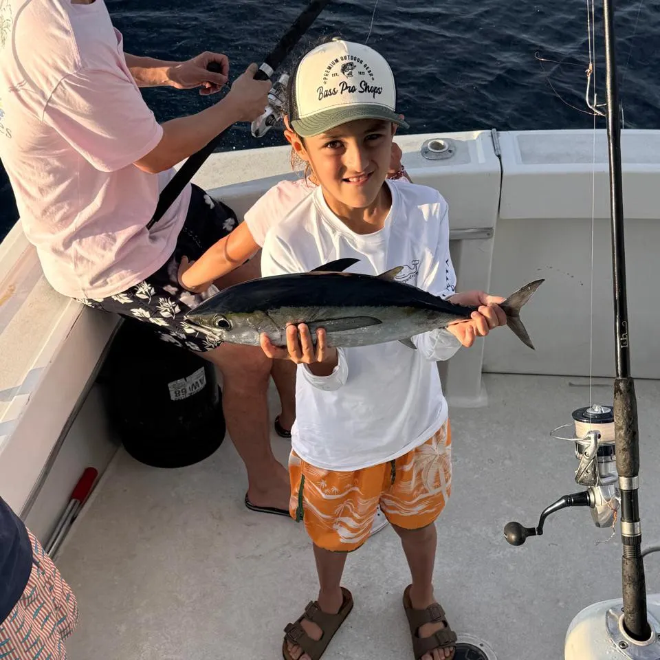 Blackfin tuna caught on Fishbrain