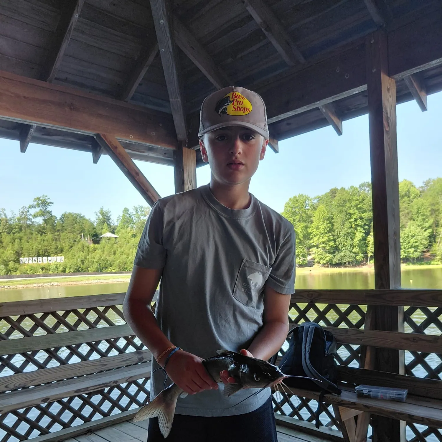 Channel catfish caught on Fishbrain