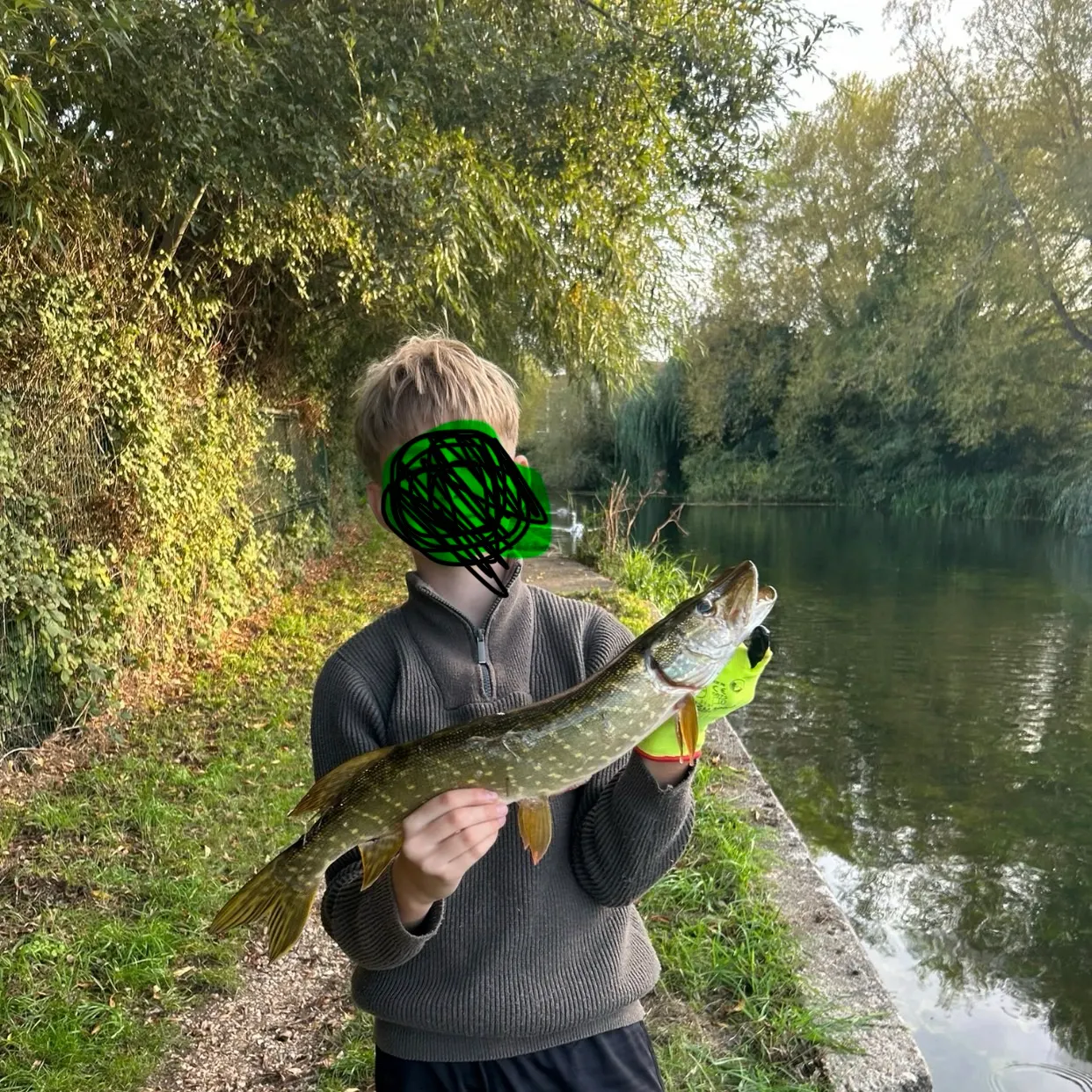 Northern pike caught on Fishbrain