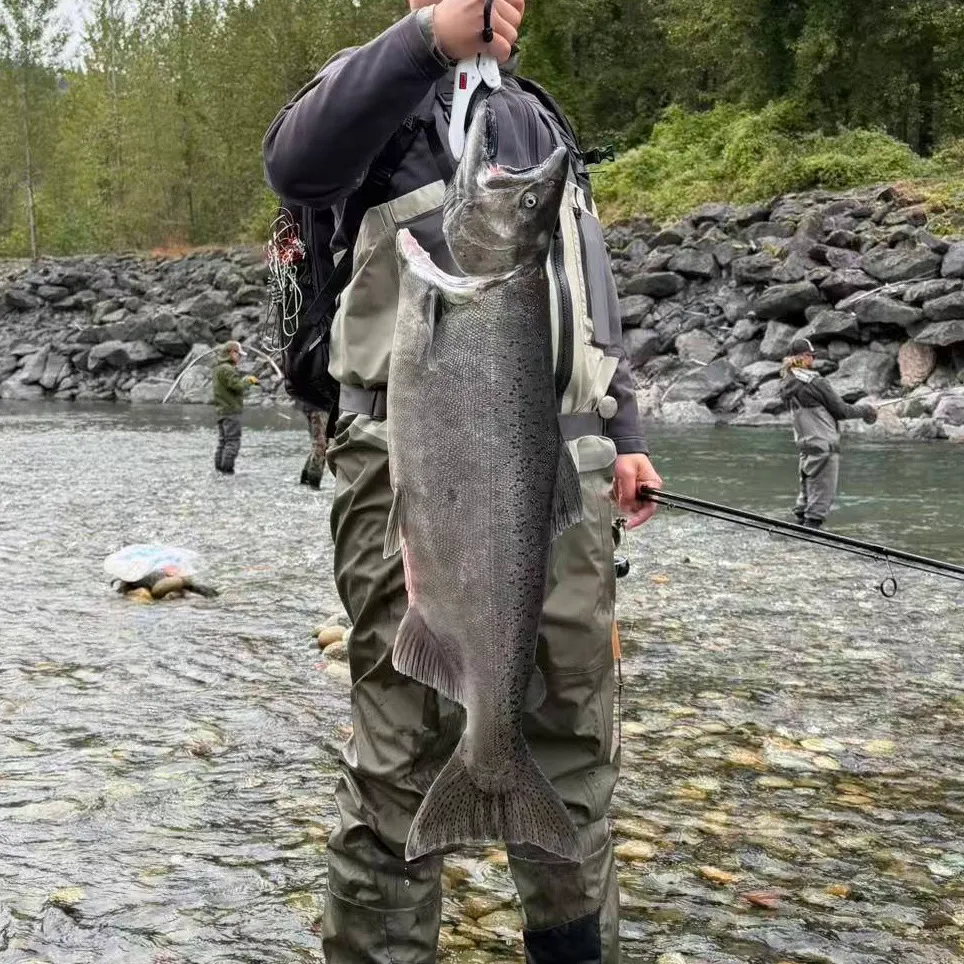 Chinook salmon caught on Fishbrain