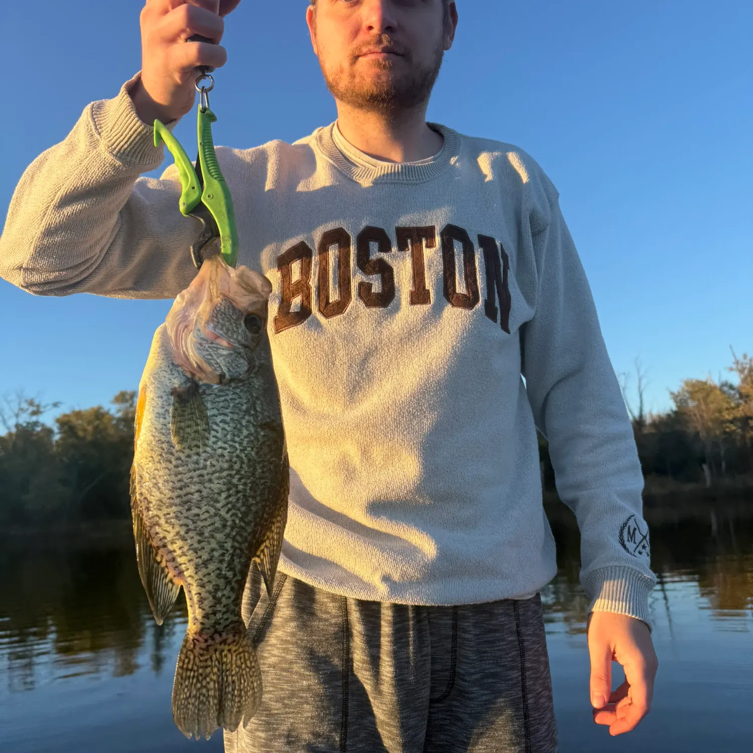 Black crappie caught on Fishbrain