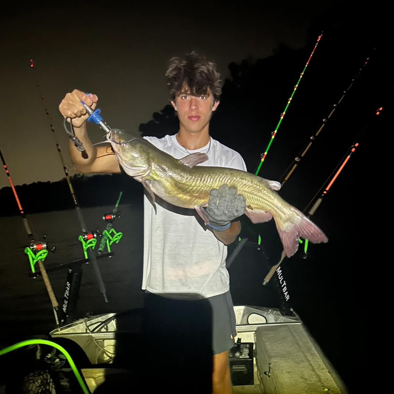 Channel catfish caught on Fishbrain