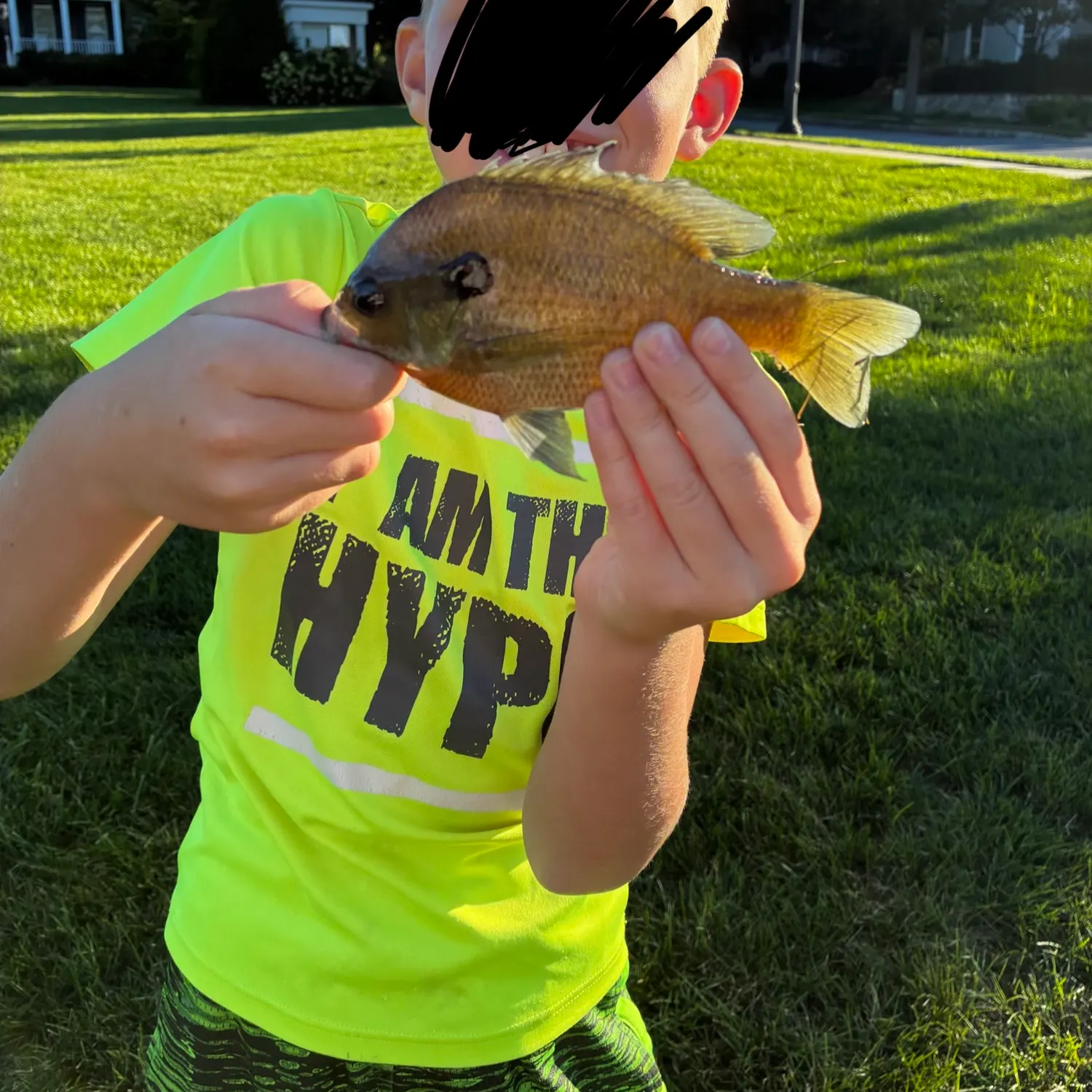 Bluegill caught on Fishbrain