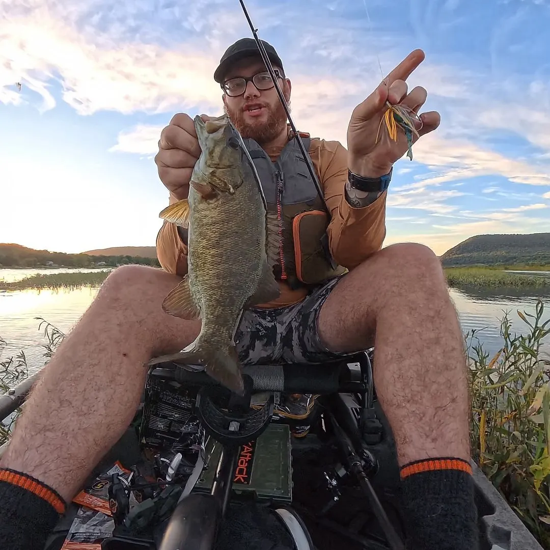 Smallmouth bass caught on Fishbrain