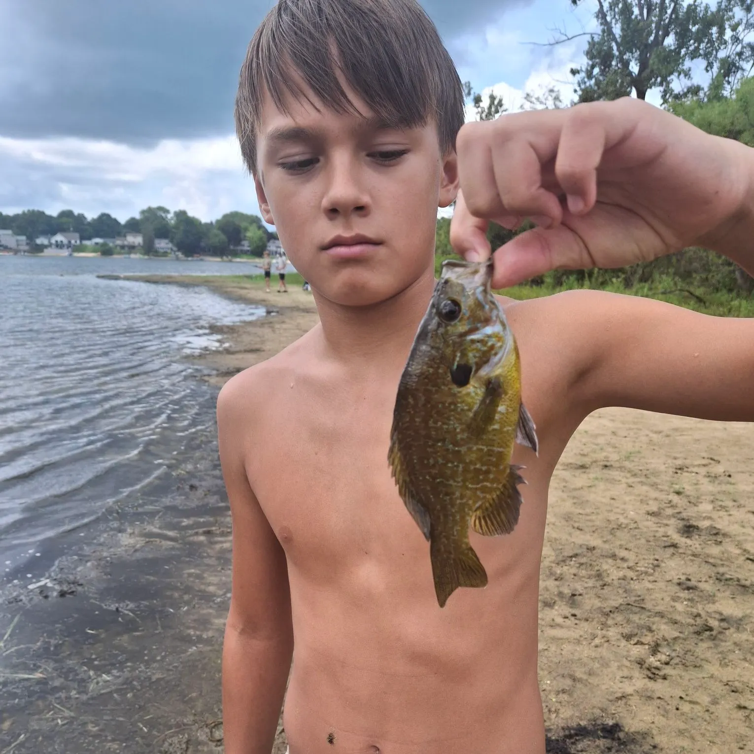 Greengill hybrid caught on Fishbrain