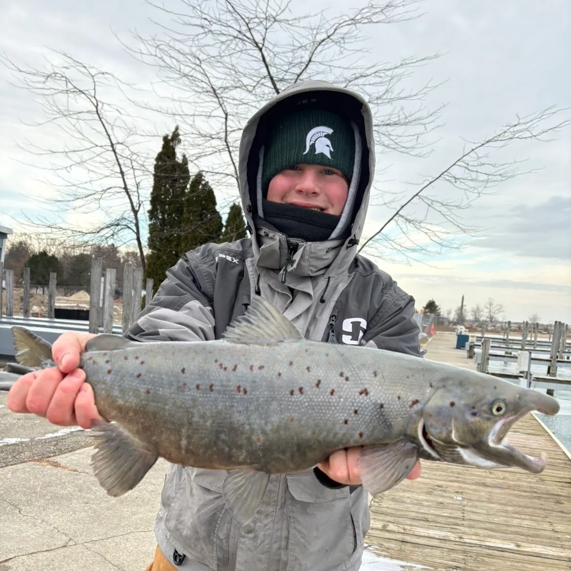 The most recent Atlantic salmon catches on Fishbrain